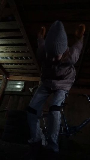 вечерняя тренировка