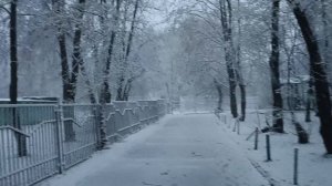 Весенняя зима дошла и до нас.