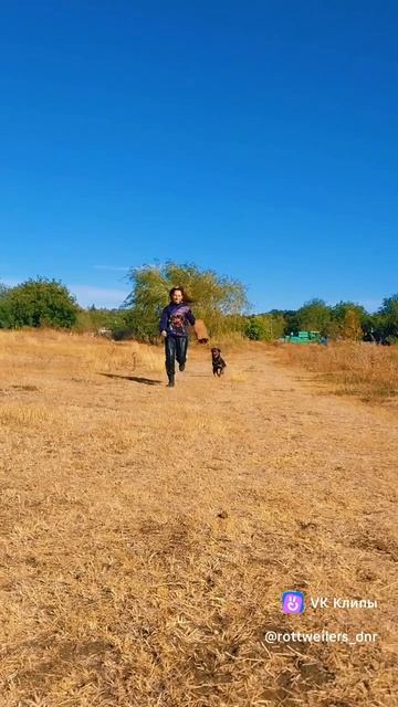 Дрессировка от Нагорной Е