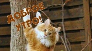 Доброе апрельское утро. Самая лучшая музыкальная открытка