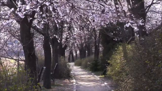 Напишите 4 цифры на запястье и деньги быстро придут.