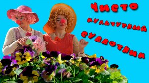 чисто культурный субботник