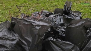 Бульвар имени Владимира Золотарёва в Самаре преобразился после субботника