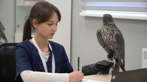 «ДИКТАНТ ПОБЕДЫ» 2026