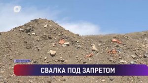 Выводы / 25.04.26