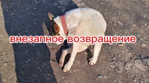 внезапное возвращение