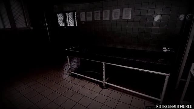 КТО БЕГАЛ ПО МОРГУ... Страшные истории на ночь.