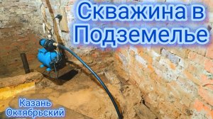 Абиссинка для гигансткого дома