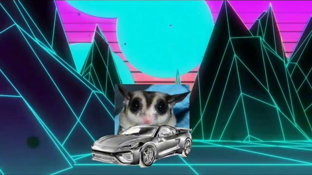 Подпишись белка летяга