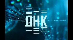 ДНК 27.04.2026 обзор