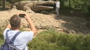 Ставропольские предприниматели получили в прошлом году свыше 800 млн рублей микрозаймов