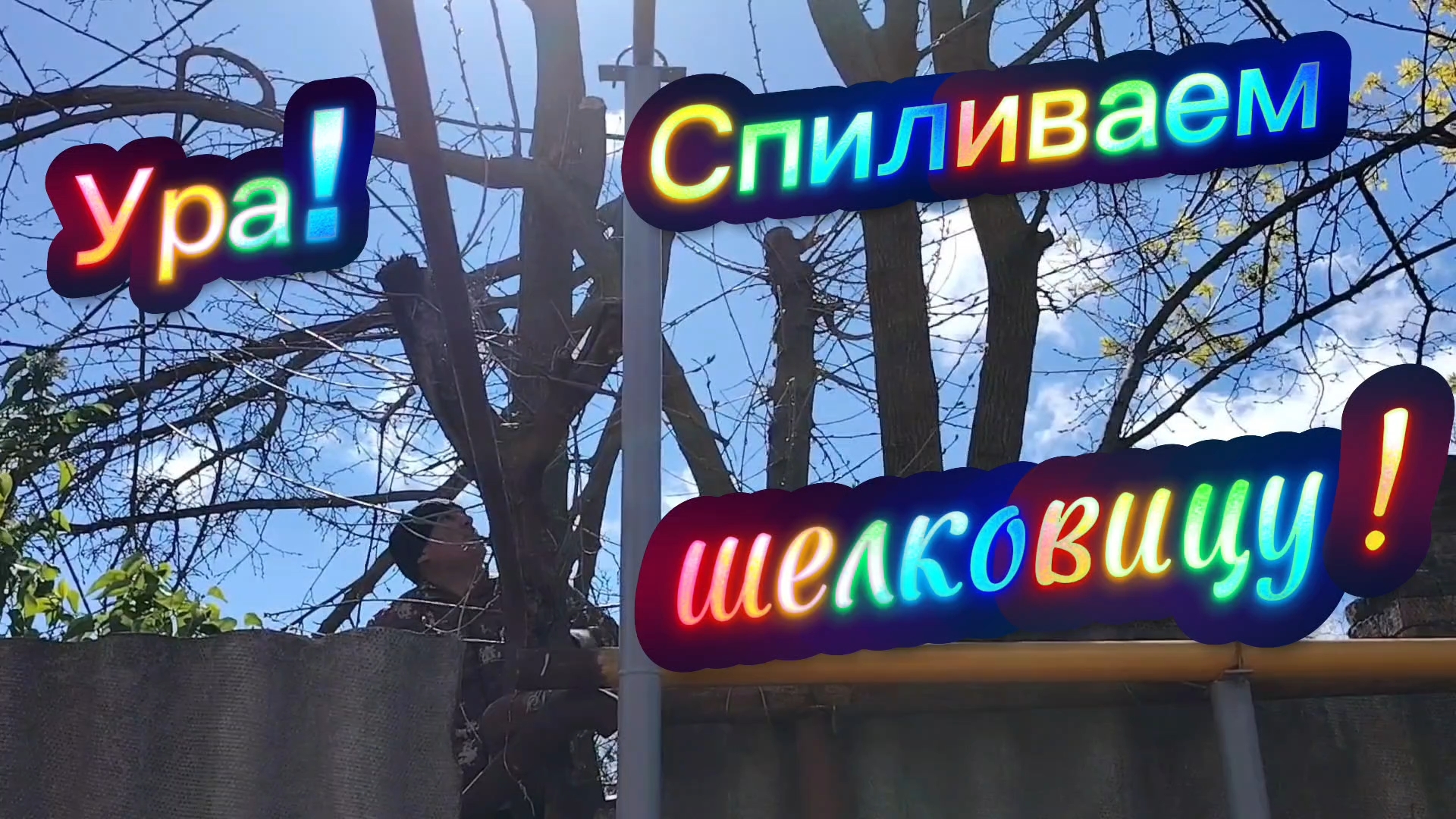 Ейск! Я подстимулировала соседа, спиливает шелковтцу, моя задумка, посадить 1 кабачок 27-04-2026