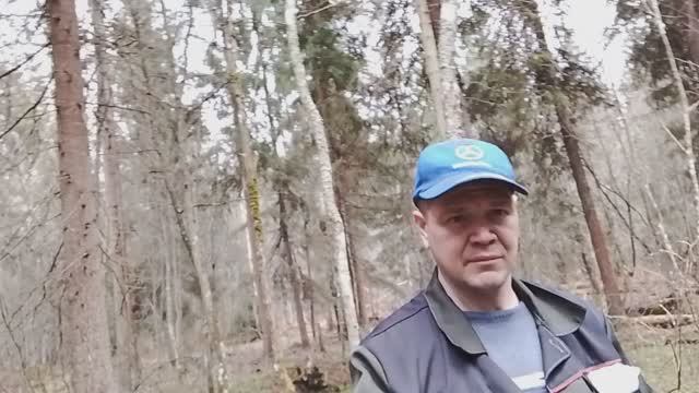 Какие грибы можно увидеть  в лесу в конце апреля