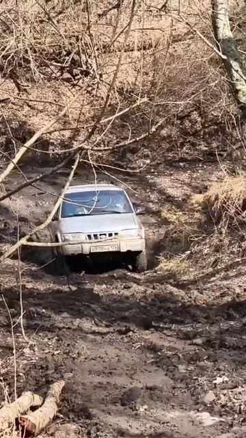 Кияха Санька 💪