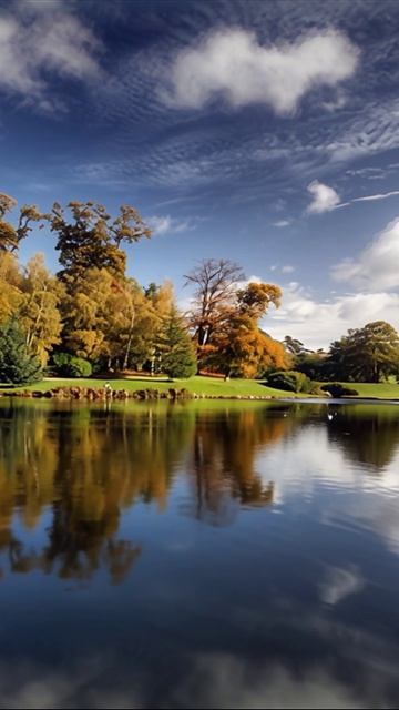 🎹 Нежное пиано, звуки воды и пение птиц — идеальный фон для работы, учёбы, отдыха или сна 💧🐦