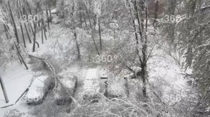 Стихия не щадит: в Москве и области массово падают деревья.

Из-за обильного мокрого снега и налипан