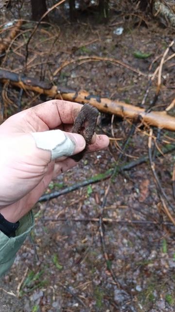 Нашли кресало в лесу #shorts #кресало #старинныенаходки  #metaldetecting #леснойкоп