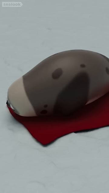 All I Want for Christmas is…My Comfort Blanket #shorts