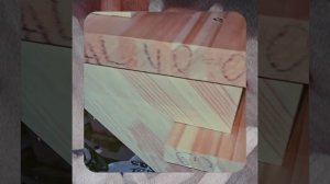 1000057126.mp4 (Собака наблюдает за устройством лестницы на 2-ой этаж в доме А-фрейм)