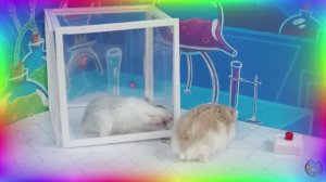 Приключения хомячка — Путешествие по миру волн! часть 3