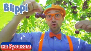 Блиппи на фабрике вишни | Блиппи на Русском | Изучай этот Мир вместе с Блиппи | Blippi