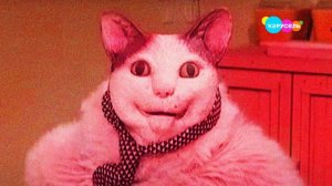 НИКОГДА НЕ СМОТРИ БУ ИСПУГАЛСЯ НЕ БОЙСЯ ВО ВЗЛОМЕ КАНАЛА КАРУСЕЛЬ