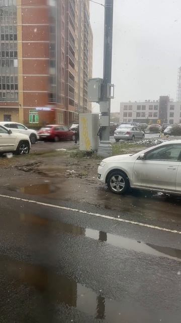 Погода в Питере сейчас.