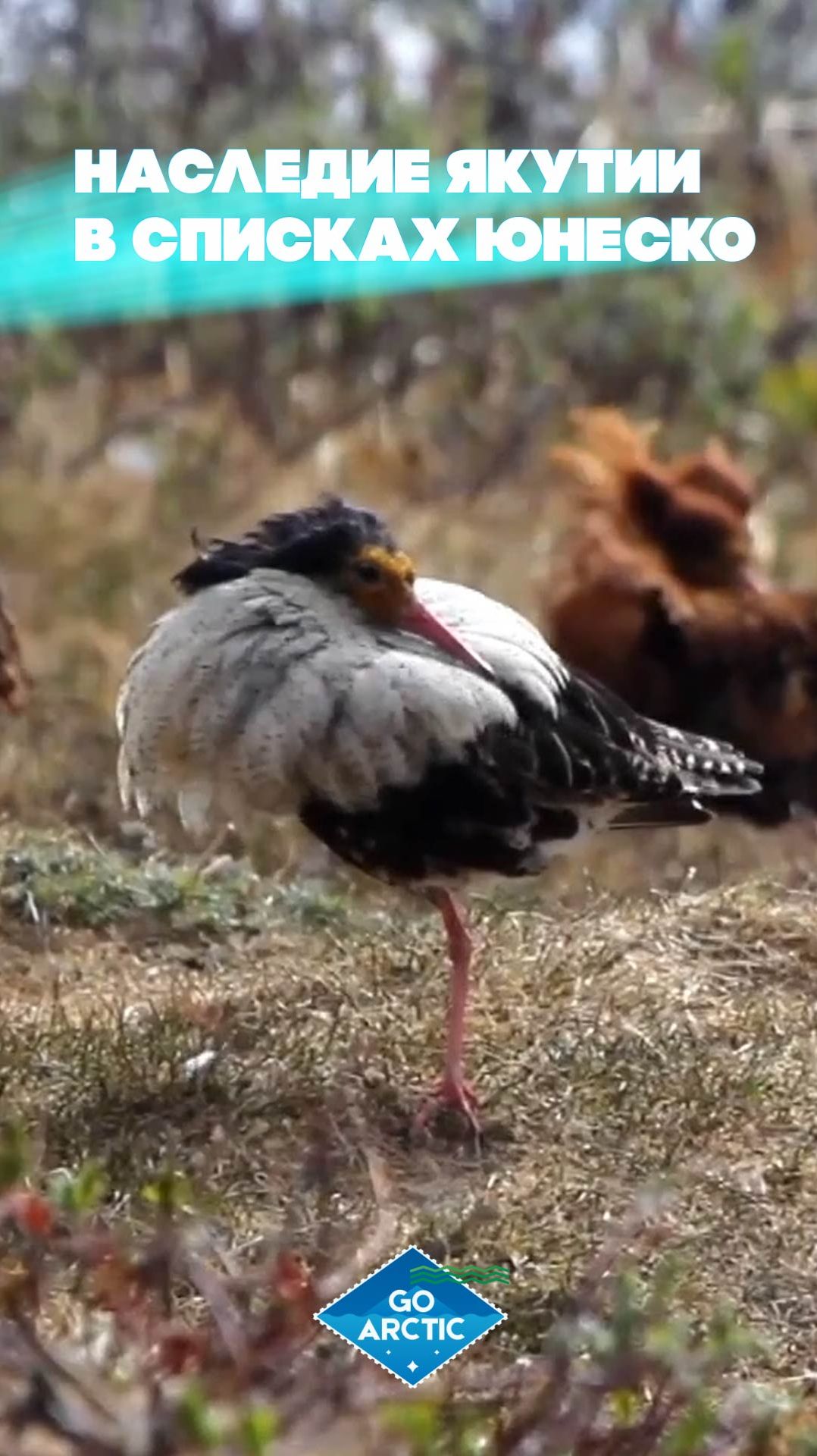 Наследие Якутии в списках ЮНЕСКО