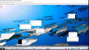 Bonzify.exe на Windows Vista- меньше разговоров, больше треша (который к слову не убил систему)