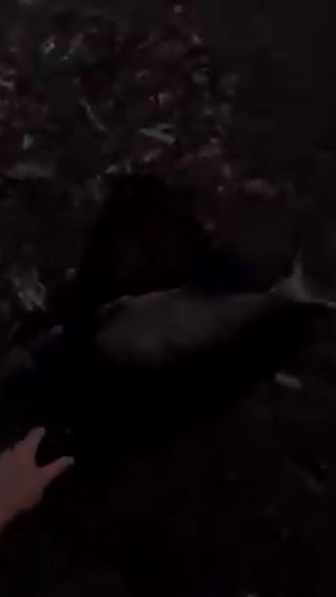 В 4.30 утра клюнул первый Лещ