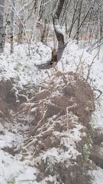 Москву продолжает засыпать снегом. 27 апреля 2026