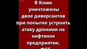 В Коми уничтожены двое диверсантов при попытке устроить атаку дронами на нефтяное предприятие