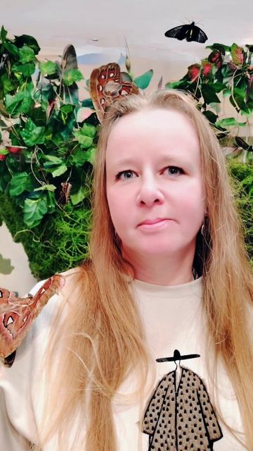 Мой новый фильм для поднятия настроения 
