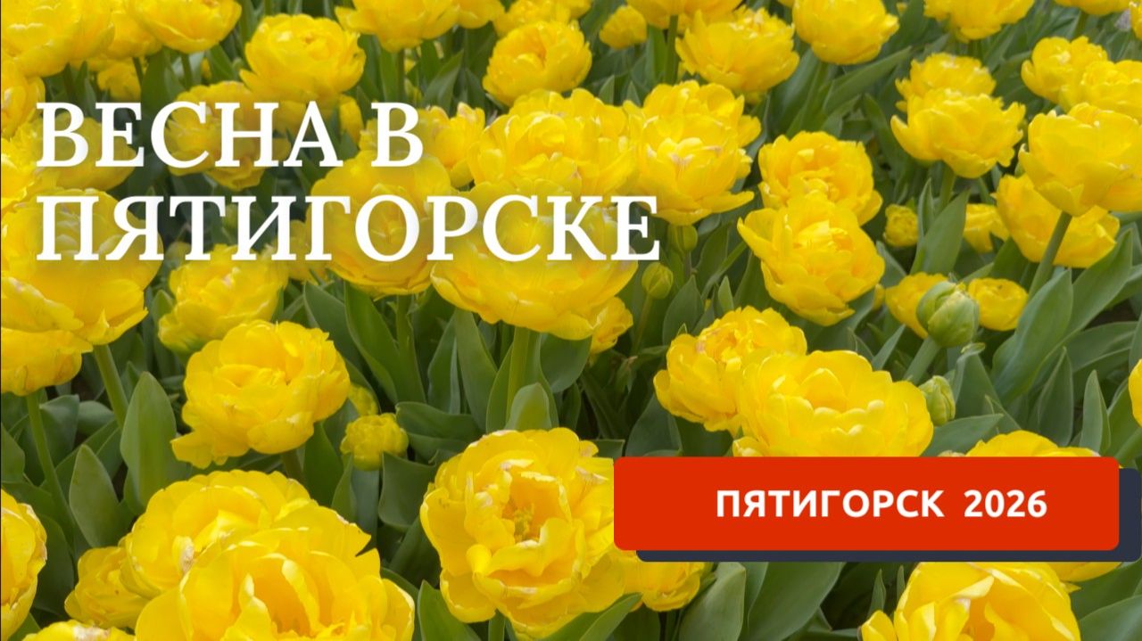 ПЯТИГОРСК 2026ВЕСНА НА КМВПРОГУЛКА ПО ГОРОДУ