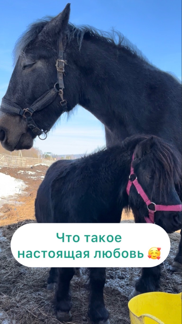 Что такое любовь настоящая