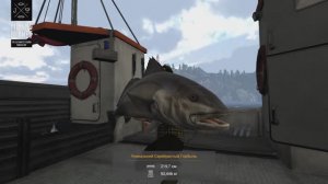 Fishing Planet. Фьорд Скорланд. Уникальный Серебристый Горбыль. Обзор арендной Рыбацкой Лодки.