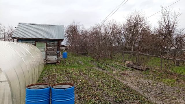 НАШ  ДОЖДЛИВЫЙ  ДВОР  26 АПРЕЛЯ.