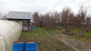 НАШ  ДОЖДЛИВЫЙ  ДВОР  26 АПРЕЛЯ.