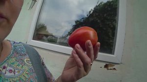 Влог от 20.08.2022