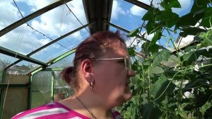 Влог от 22.08.2022