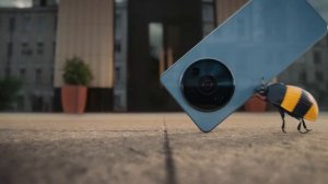 Реклама Билайн - Для хитрых жуков (2025)