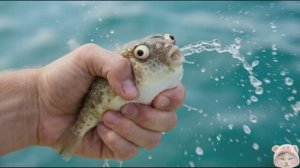 ИММЕРСИВНАЯ ЗАРЯДКА — УТРЕННЯЯ ТРЕНИРОВКА В ФОРМАТЕ FITNESS GAME!