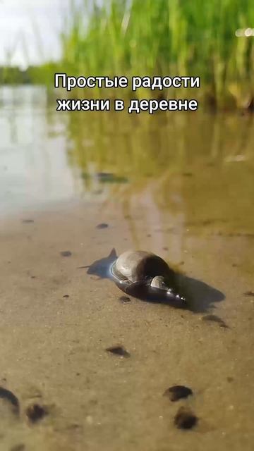 Красивый клип о простых деревенских