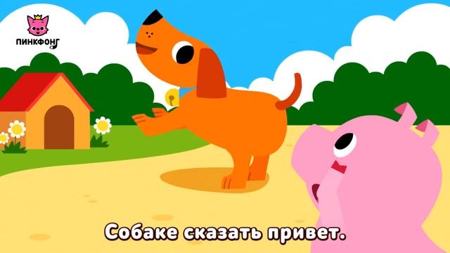 🍿 Видел Кто-нибудь Мой Хвост? | Песни про Животных | Пинкфонг Песни для Детей