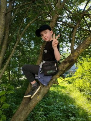 разговор (стёпа) присутствоет