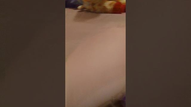 Пов: контрольная 📈📈📈 ↗️ по матеше 💀