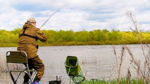 КАК ТЯНЕТ ТО! Донка в дугу и.. Рыбалка на реке в апреле!