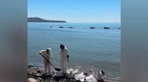 В Туапсе собрали уже больше 4 тысяч кубометров загрязненного грунта