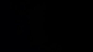 Прилёт Ирана