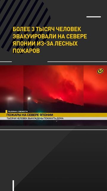 Более 3 тысяч человек эвакуировали на севере Японии из-за лесных пожаров